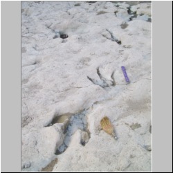 100_0335 (2009-25-07)m.jpg